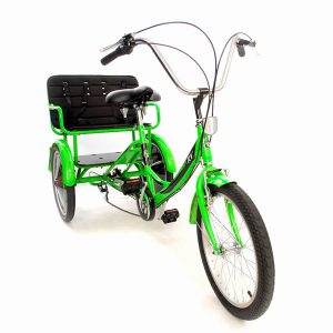 20 INCH TRIKE RV CHILD TRANSPORTER