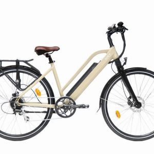 27 inch JUICY Roller Electric Cycle sand